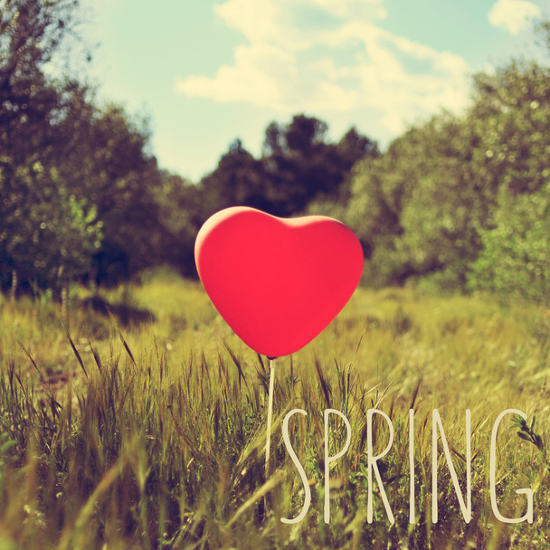 Word spring and heart-shaped balloon in a country landscape - Photo, Image