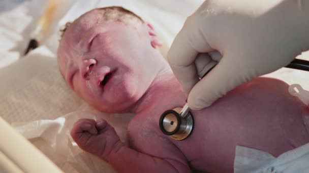 Hastanede yeni doğmuş bir bebek. Doğum uzmanı çocuk doktoruyum. Doktor, yeni doğmuş bir bebeği hayatın ilk birkaç dakikasında muayene eder. Hastanede yeni doğmuş bir bebek - yeni hayatın ilk dakikaları - Video, Çekim