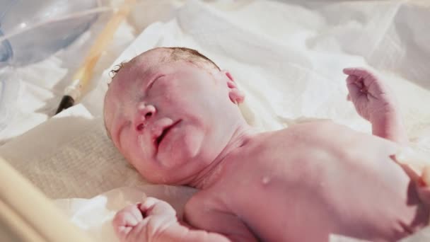 Bebê recém-nascido no hospital. Pediatra profissional de maternidade. O médico examina um bebê recém-nascido nos primeiros minutos de vida. Um bebê recém-nascido no hospital - os primeiros minutos da nova vida - Filmagem, Vídeo