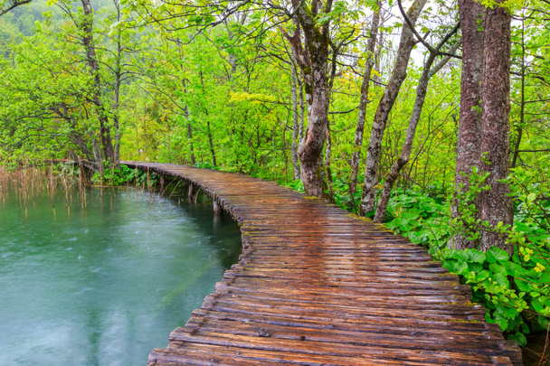 Boardwalk in the park Plitvice lakes - Photo, Image