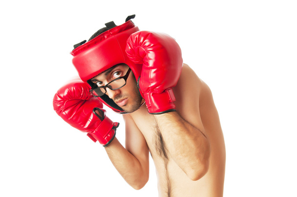 Funny boxer izolované na bílém - Fotografie, Obrázek