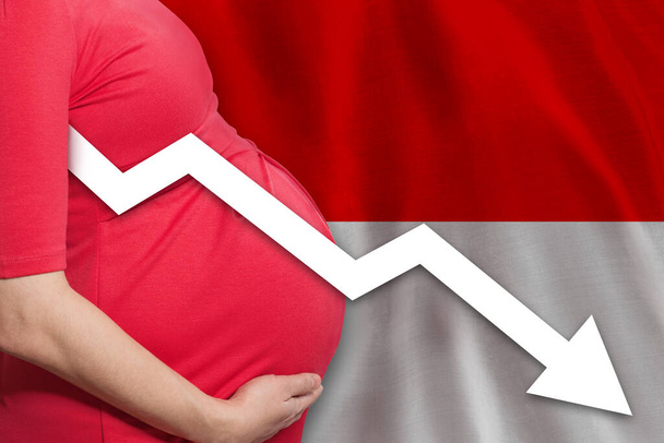 Close-up foto van zwangere vrouw op nationale vlag achtergrond. dalend vruchtbaarheidscijfer - Foto, afbeelding