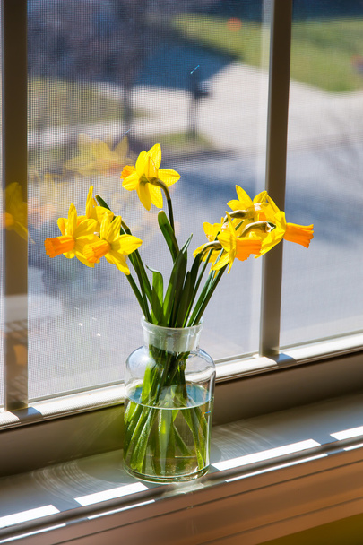Kukkakimppu keltaisia narsisseja lasimaljassa ikkunan lähellä. kanssa uudelleen
 - Valokuva, kuva