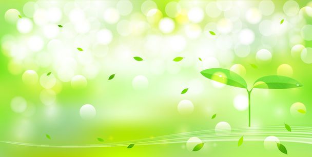 葉新鮮な緑の背景 - ベクター画像
