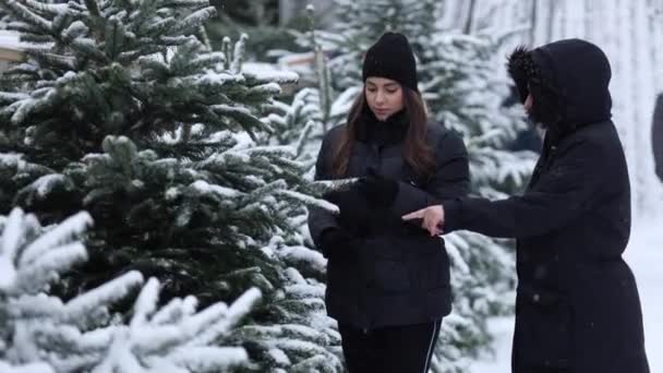 Attractive daughter chooses a fir tree with her mother. Two females stand by the big Christmas tree in snowy winter day. - Footage, Video