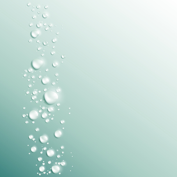 water drops vector background  - Vector, Image