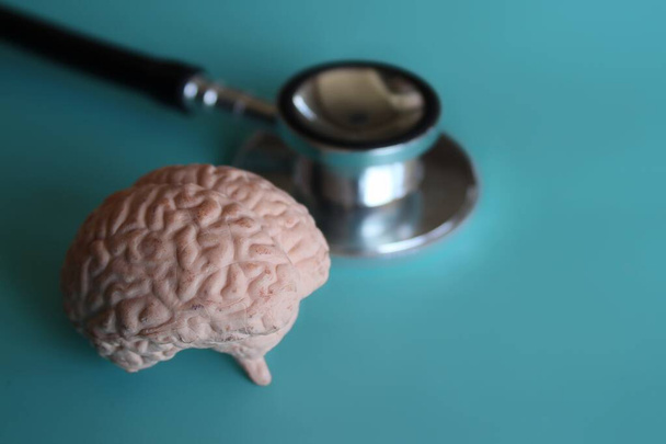 Modelo de cerebro humano y estetoscopio. Concepto médico y sanitario - Foto, Imagen