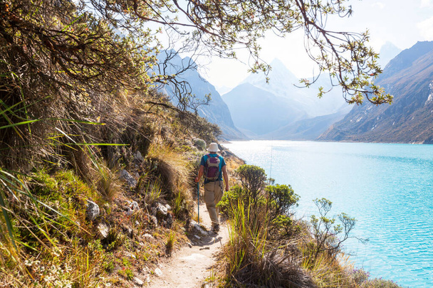 Пішохід в горах Кордильєра, Перу, Південна Америка - Фото, зображення