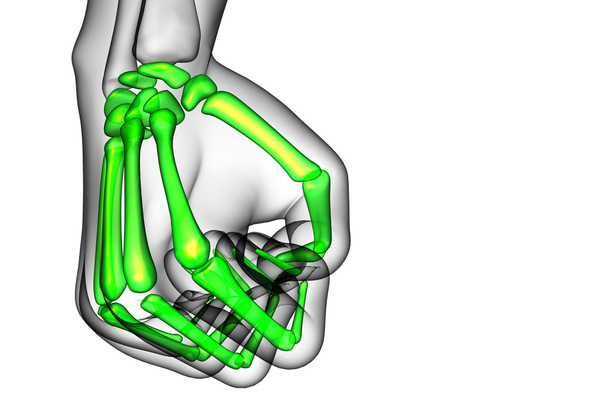 3d representación ilustración de la mano esqueleto
  - Foto, Imagen