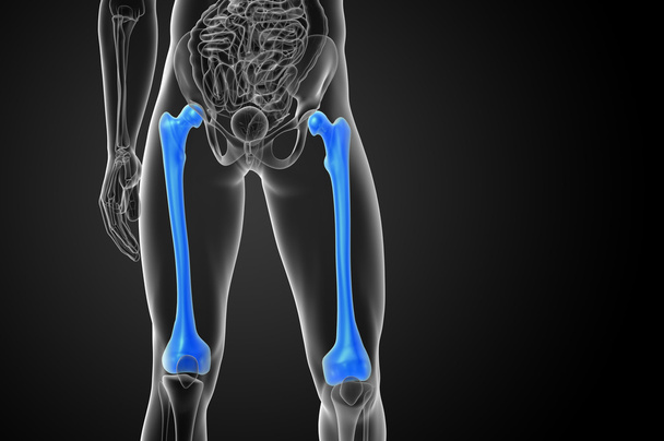 3d візуалізація медичної ілюстрації кістки стегнової кістки
  - Фото, зображення