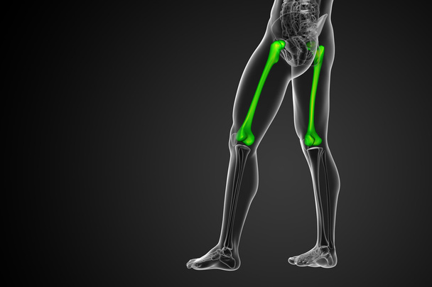 3D render Medikal illüstrasyon femur kemik  - Fotoğraf, Görsel