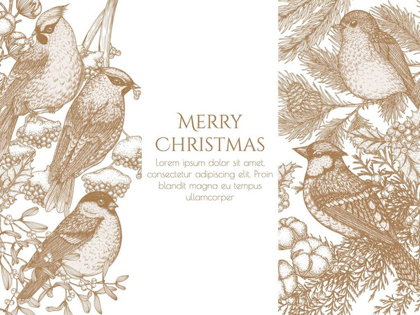  Διανυσματική κάρτα πρότυπο με τα πουλιά στο δάσος του χειμώνα. Waxwings, robin, bullfinch και blue jay σε στυλ χαρακτικής - Διάνυσμα, εικόνα