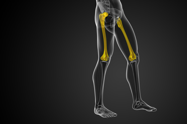 大腿骨の 3 d レンダリングの医療イラスト  - 写真・画像