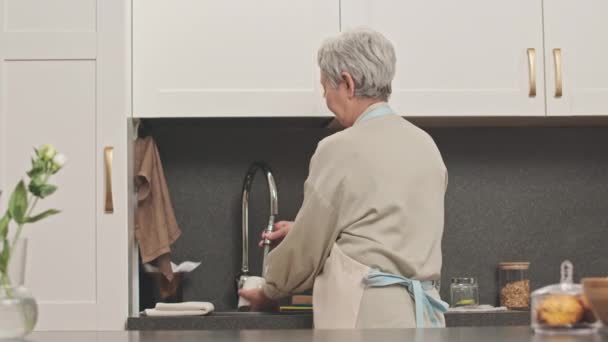 Media vista trasera de la abuela asiática de pelo gris de pie junto al fregadero de la cocina lavando platos mientras hace las tareas domésticas - Imágenes, Vídeo