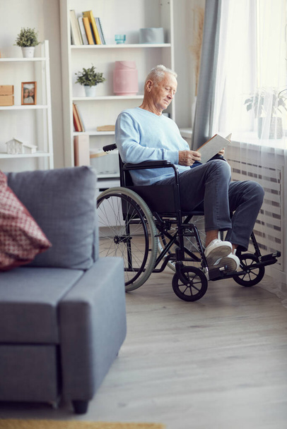 Serious mature gray-haired man with paralyzed legs sitting in wheelchair by window and reading book - Foto, imagen