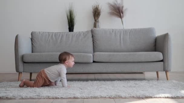 Amidst the familiar surroundings of the living room, an adorable little one delights in exploring, crawling with curiosity. His eyes sparkle with wonder, and the room echoes with playful giggles. - Footage, Video