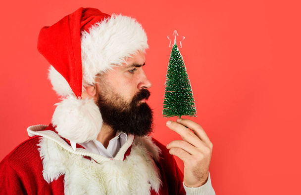 Celebração de Natal e Ano Novo. Retrato de perto de Papai Noel com pequena árvore de Natal na mão. Homem barbudo sério em traje de Papai Noel com pequeno abeto verde. Férias de inverno. Venda de Natal - Foto, Imagem