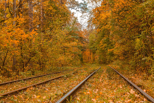 Syksyn metsä, jonka läpi raitiovaunu kulkee, Kiova ja kiskot lähikuva - Valokuva, kuva