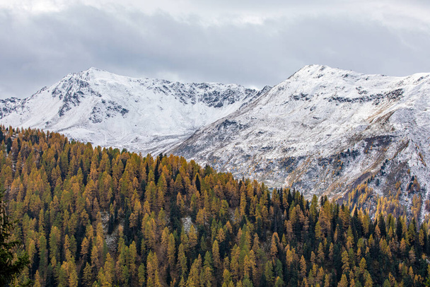 Живописный осенний вид с заснеженными горами и золотыми лиственницами, недалеко от Давоса, Швейцария - Фото, изображение