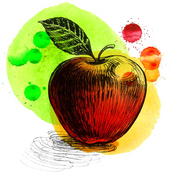 Apple fruit on colorful background. Hand-drawn  ink and watercolor sketch - Photo, Image