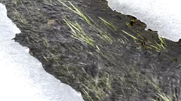 Malý potok s sněhu a ledu - Záběry, video