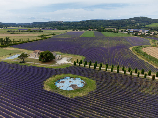 夏のフランス,プロヴァンス,ルブロンにある紫色のラベンダー,緑色のフィル,ラコステ村の列に関する空想的な眺め - 写真・画像