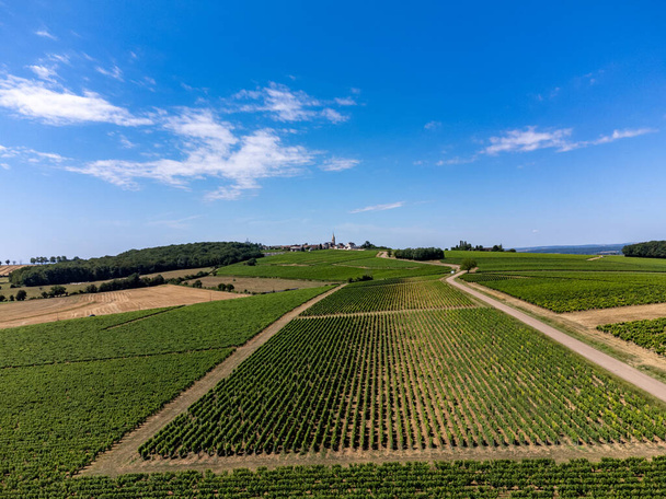 Widok z powietrza na winnice Pouilly-Fume appellation, produkcji suchego białego wina z winogron sauvignon blanc rosnących na różnych rodzajach gleb, Francja - Zdjęcie, obraz