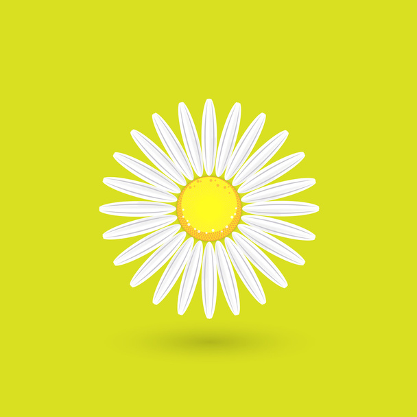 Spring background with dandelions - Vector, Image