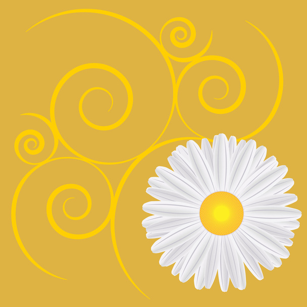 Spring background with dandelions - Vector, Imagen