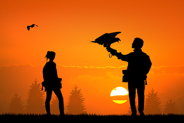 Falconry at sunset - Zdjęcie, obraz