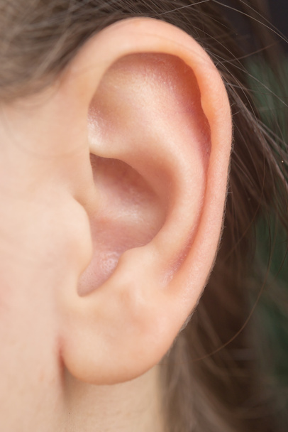 woman ear - Photo, Image
