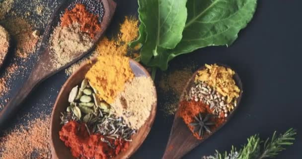 Spices, herbs and condiment for seasoning, studio and table for curry, wooden spoons and cooking. Food, natural or different for organic, chilli or marketing for ingredients, dark backdrop or dry. - Footage, Video