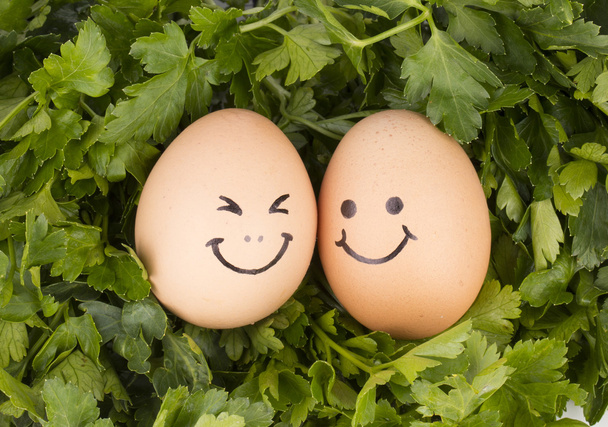 Parsley and eggs - Photo, image