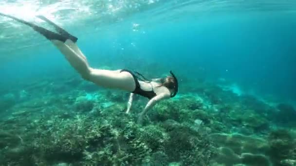 Sukellus, uinti ja nainen meressä seikkailu, loma ja loma Mauritiuksella. Luonto, matkailu ja naispuolinen henkilö trooppisessa vedessä sukeltaa, tutkia koralliriutta ja snorklausta saarella. - Materiaali, video