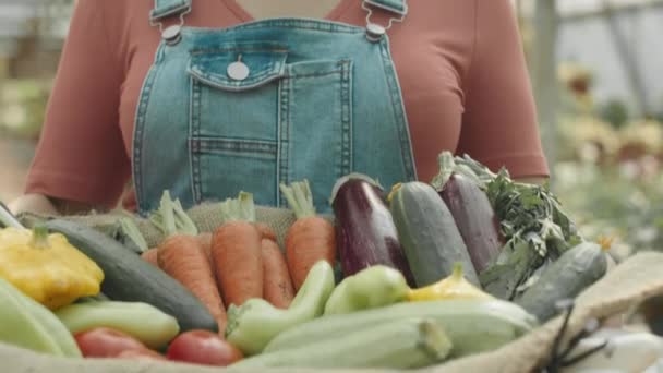 Inclinado hacia arriba de la niña agricultora de Oriente Medio con caja de verduras orgánicas sonriendo a la cámara de pie en el vivero de plantas - Imágenes, Vídeo