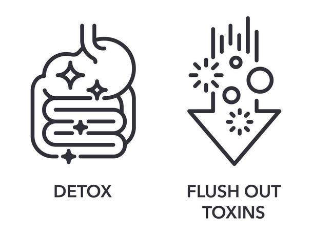 Set d'icônes Detox et Flush Out Toxins - étiquetage des compléments alimentaires. Pictogrammes en ligne fine - Vecteur, image