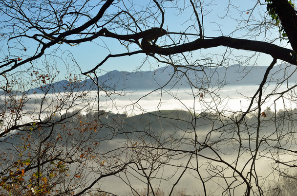 ふもとの小丘 n 霧、ペイ ・ バスク - 写真・画像
