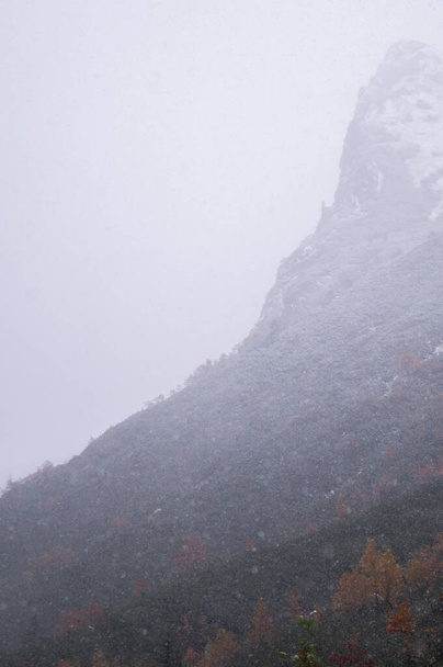 Escena cautivadora de Dolina Roztoki, que muestra el pico escarpado de una montaña envuelta en una capa fresca de nieve, mientras que la pendiente inferior presenta el follaje vibrante del otoño.  - Foto, imagen