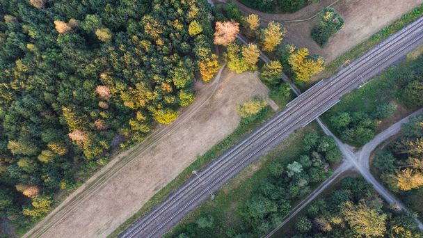 Trains de train à travers la forêt allemande près de Munich vue aérienne sur drone fotage - Photo, image