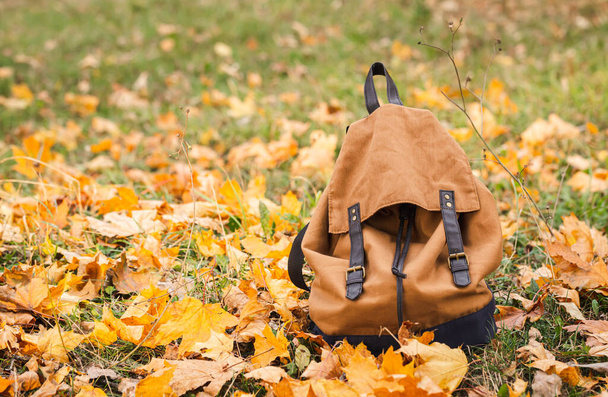 秋の森の中のスタイリッシュなバックパックは,学校,旅行,観光コンセプト,コピースペースに戻ります. - 写真・画像