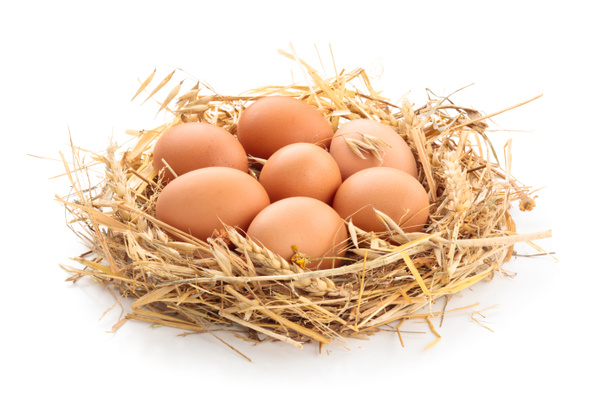 Uova di pollo nel nido
. - Foto, immagini