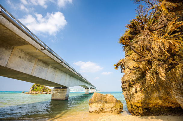 Bridge in Okinawa - Photo, Image