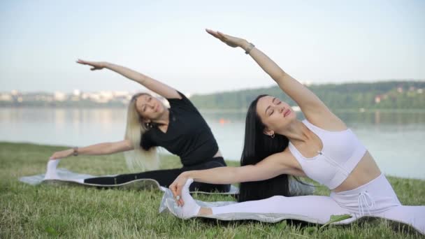Lezione di yoga femminile vicino al lago durante l'estate. Gruppo di donne che fanno esercizi di stretching insieme. Concetto yoga. - Filmati, video