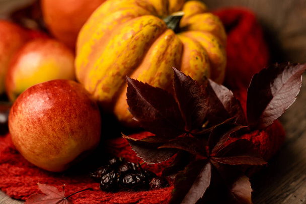Autumn composition of pumpkins, apples, rosehips on a wooden table. Healthy Eating. High quality photo - Photo, Image