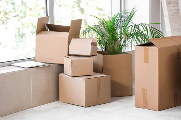 Boîtes en carton dans le salon le jour du déménagement - Photo, image