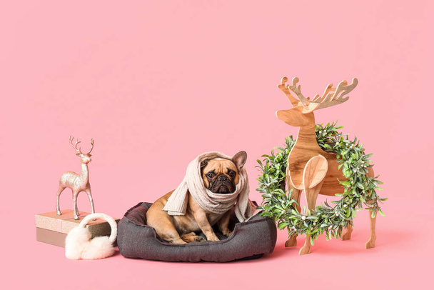 Lindo perro pug con decoraciones de Navidad sentado en la cama de la mascota sobre fondo rosa - Foto, Imagen