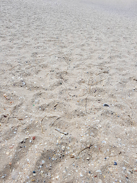 Üres tengerpart nyáron. A homok gyönyörű homokos színű. Nincsenek emberek vagy más életjelek a parton, ami békét és nyugalmat adna a képnek. - Fotó, kép