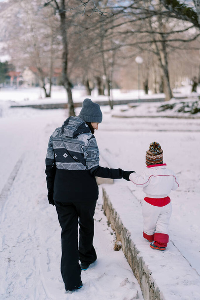 Maman conduit un petit enfant par la main le long du trottoir dans un parc d'hiver. Vue de derrière. Photo de haute qualité - Photo, image