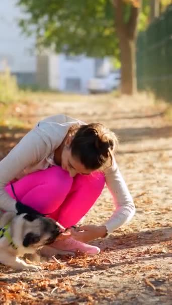 Güneşli bir sonbahar gününde, sevimli genç bir bayan pug köpeğiyle eğleniyor. Yüksek kalite 4k görüntü - Video, Çekim