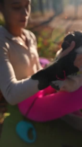 Amidst the autumn scenery, a delighted young woman and her pug share a loving hug. High quality 4k footage - Footage, Video